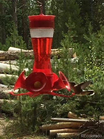 99 GCR 490 Grand Lake, CO 80447