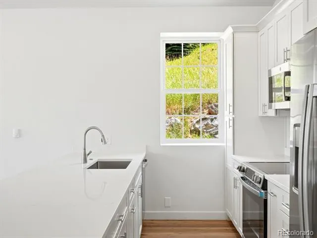 100 Roworth Way Central City, CO 80427