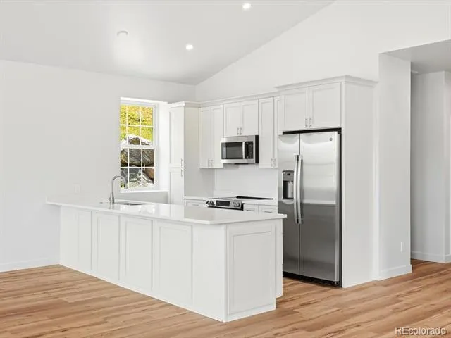 100 Roworth Way Central City, CO 80427