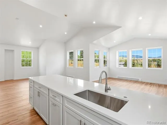 100 Roworth Way Central City, CO 80427