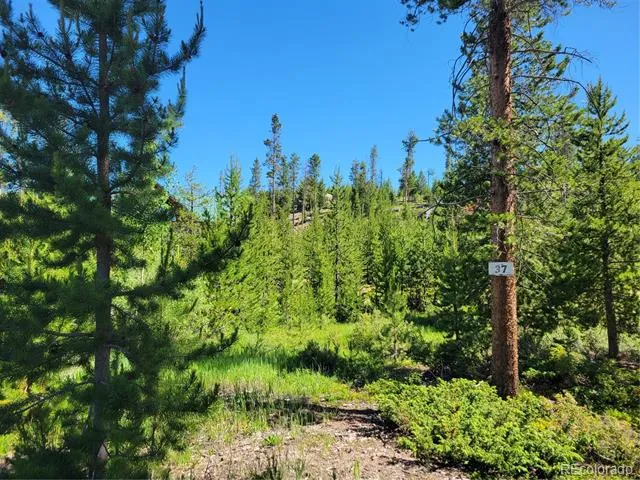 51 GCR 6621 Grand Lake, CO 80447