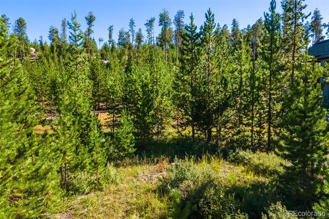 51 GCR 6621 Grand Lake, CO 80447