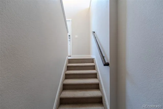7243 Rosa Belle Heights Colorado Springs, CO 80922