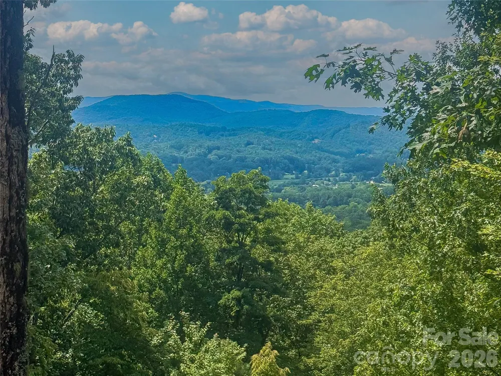 204 Forge Crest Drive #38 Mills River, NC 28759