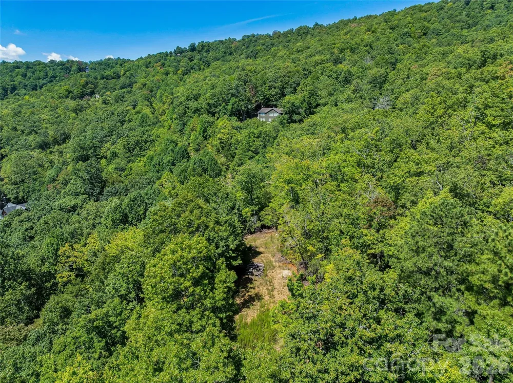 204 Forge Crest Drive #38 Mills River, NC 28759