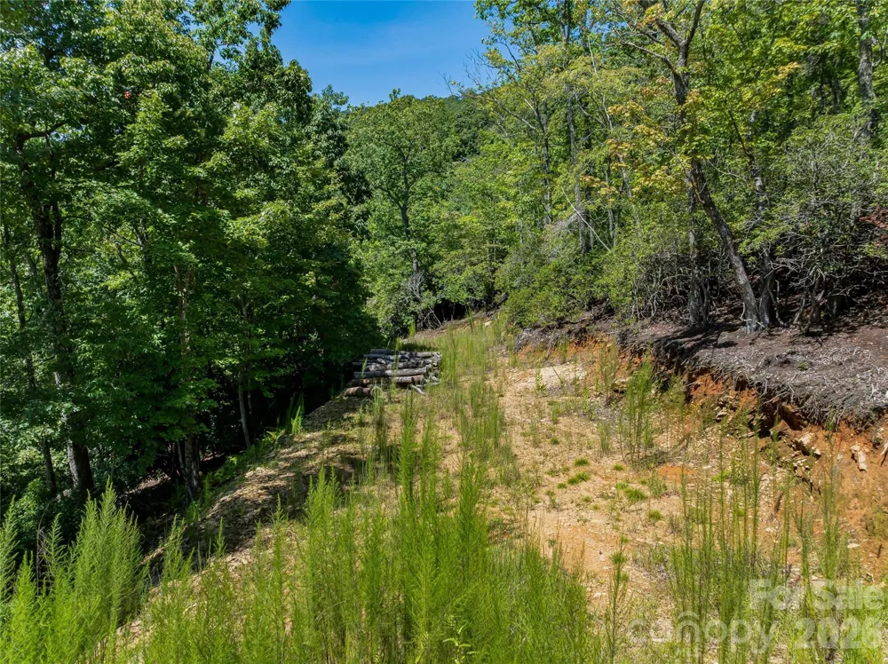 204 Forge Crest Drive #38 Mills River, NC 28759
