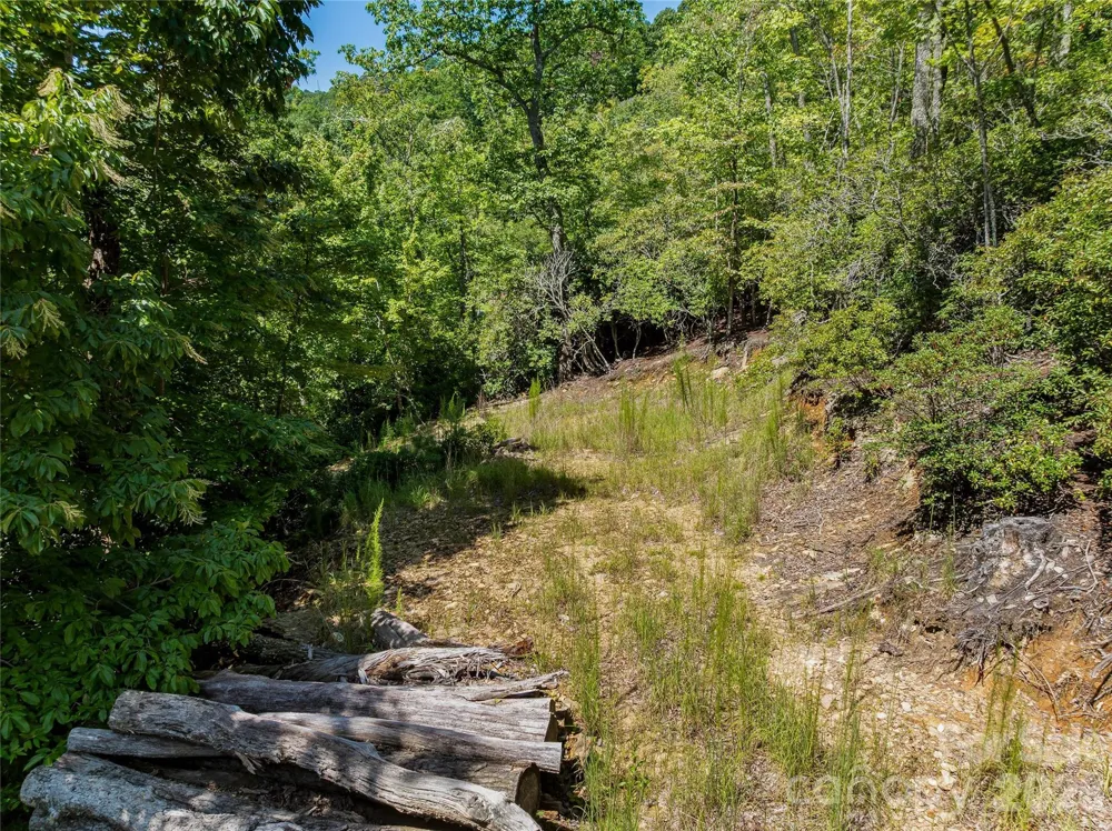 204 Forge Crest Drive #38 Mills River, NC 28759