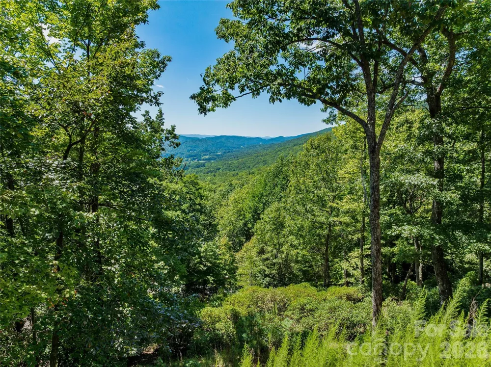 204 Forge Crest Drive #38 Mills River, NC 28759