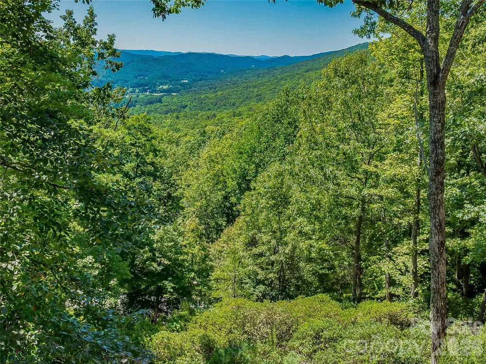 204 Forge Crest Drive #38 Mills River, NC 28759