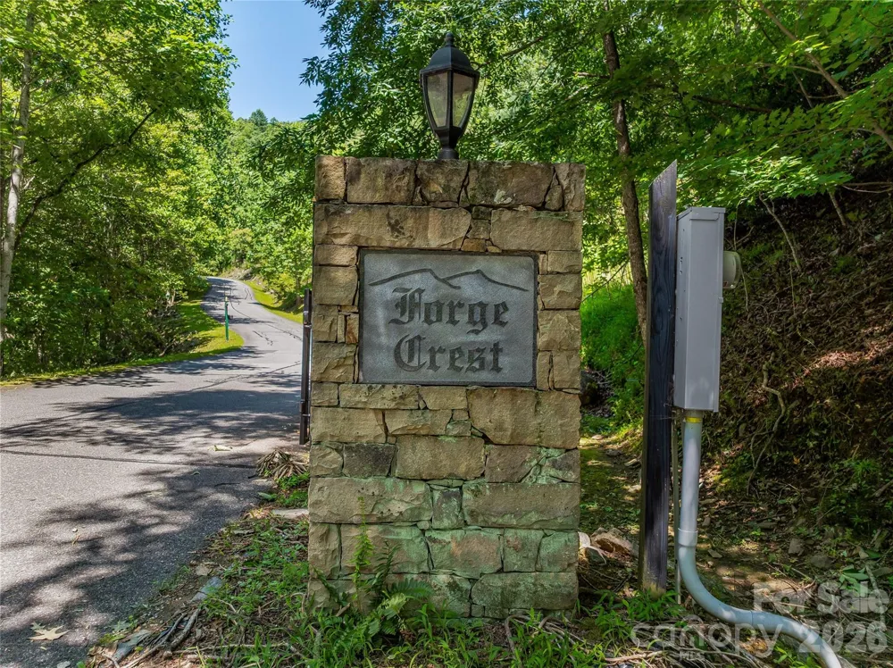204 Forge Crest Drive #38 Mills River, NC 28759