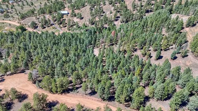 105 Carlton Circle Florissant, CO 80816