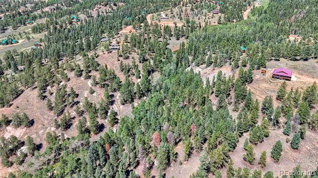 105 Carlton Circle Florissant, CO 80816