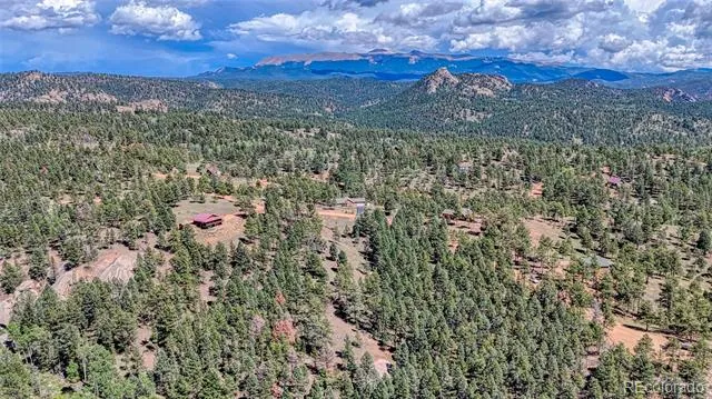 105 Carlton Circle Florissant, CO 80816