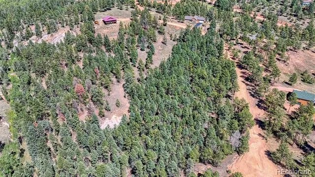 105 Carlton Circle Florissant, CO 80816