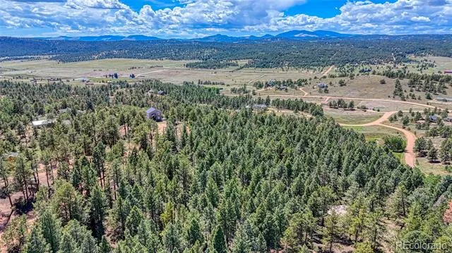 105 Carlton Circle Florissant, CO 80816