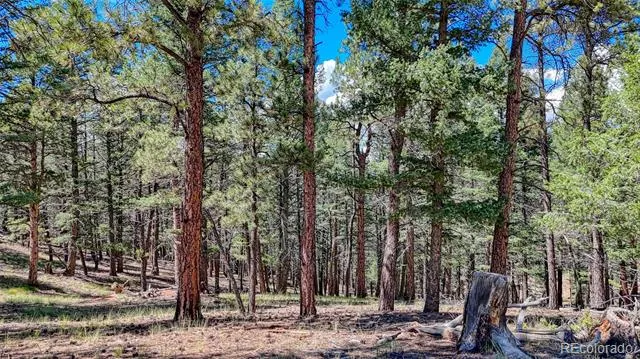 105 Carlton Circle Florissant, CO 80816