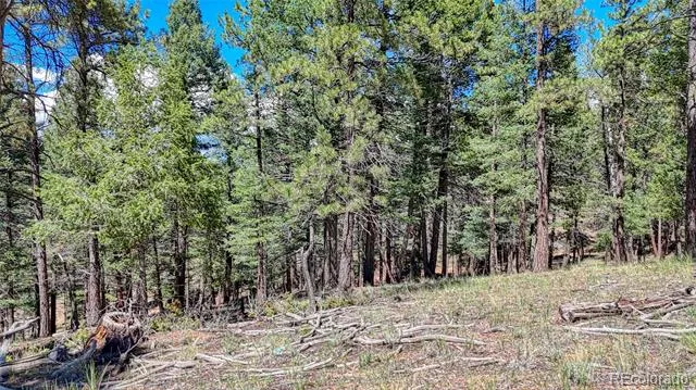 105 Carlton Circle Florissant, CO 80816