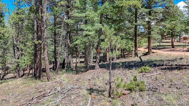 105 Carlton Circle Florissant, CO 80816