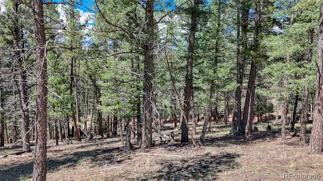 105 Carlton Circle Florissant, CO 80816