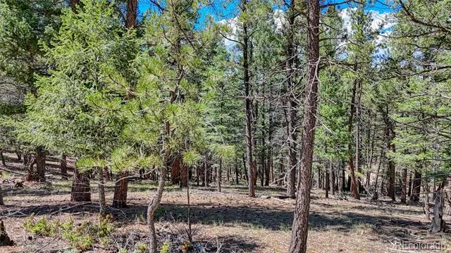 105 Carlton Circle Florissant, CO 80816