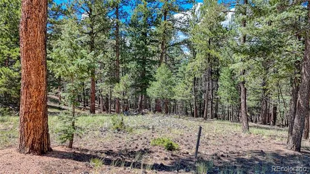 105 Carlton Circle Florissant, CO 80816