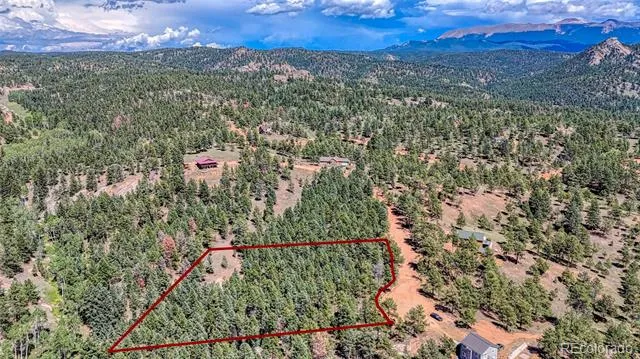 105 Carlton Circle Florissant, CO 80816