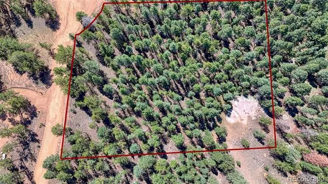 105 Carlton Circle Florissant, CO 80816
