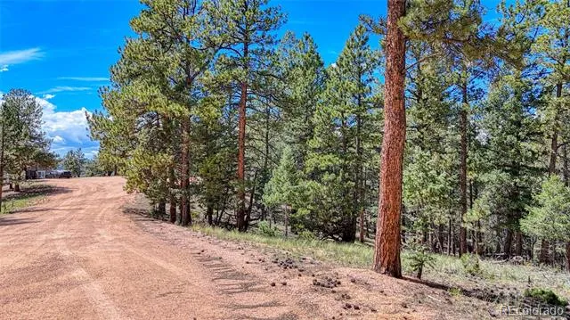105 Carlton Circle Florissant, CO 80816