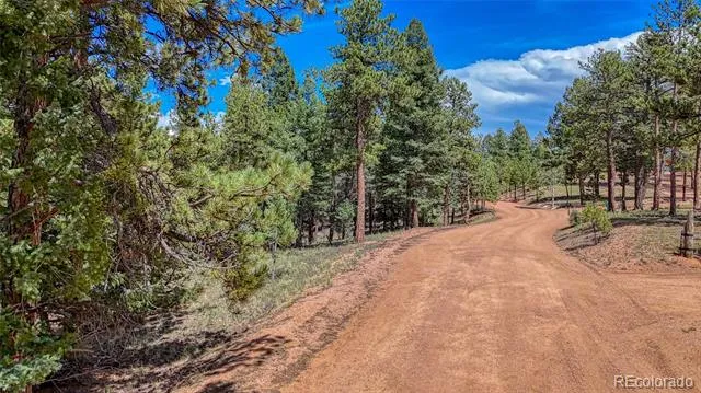 105 Carlton Circle Florissant, CO 80816