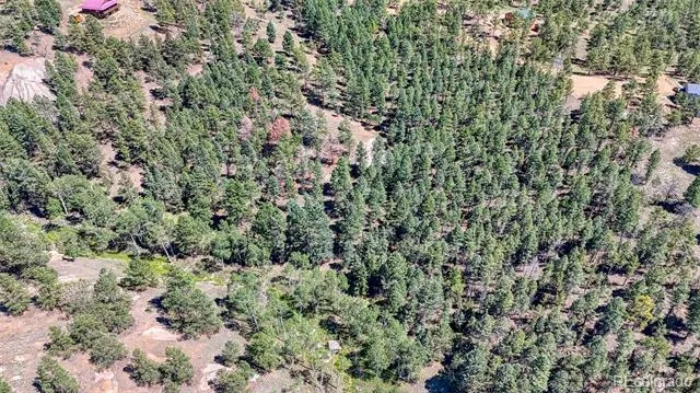 105 Carlton Circle Florissant, CO 80816