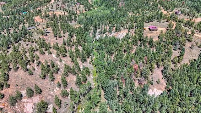 105 Carlton Circle Florissant, CO 80816