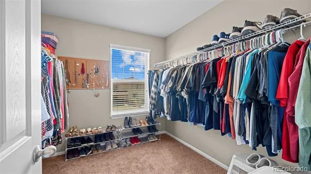 6777 Ironwood Tree Circle Colorado Springs, CO 80927