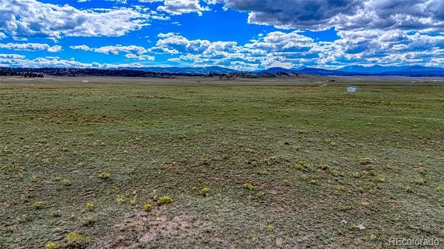 551 Sugar Pine Lane Hartsel, CO 80449