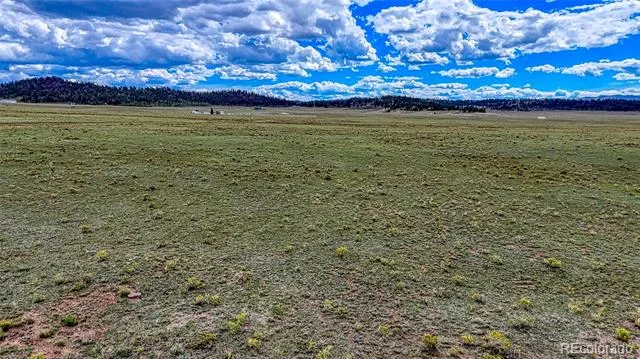 551 Sugar Pine Lane Hartsel, CO 80449