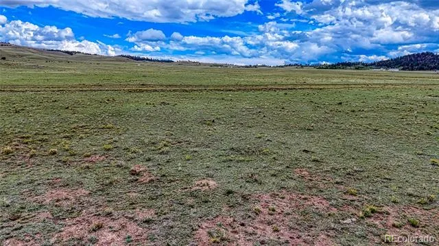 551 Sugar Pine Lane Hartsel, CO 80449