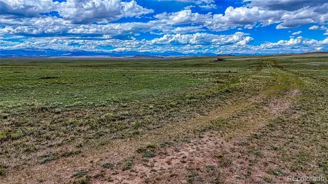 551 Sugar Pine Lane Hartsel, CO 80449