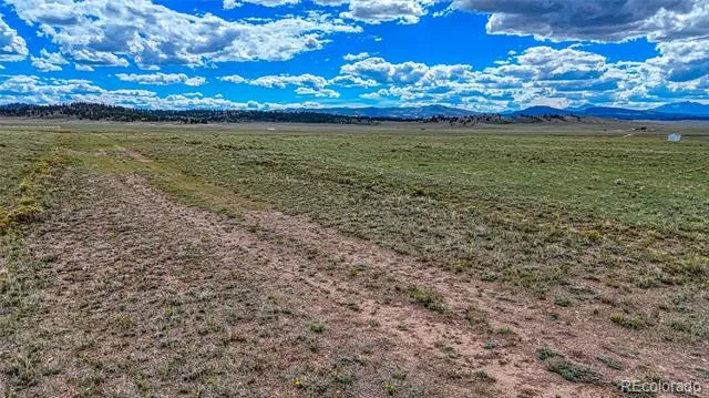 551 Sugar Pine Lane Hartsel, CO 80449