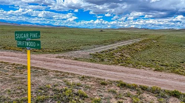 551 Sugar Pine Lane Hartsel, CO 80449