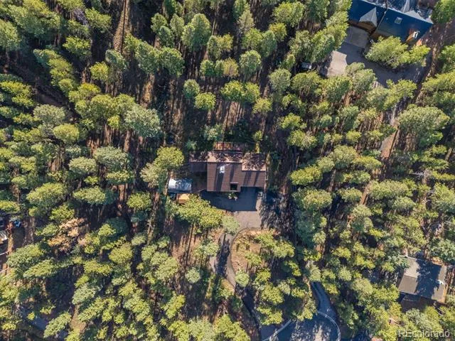 1170 Pine Ridge Road Woodland Park, CO 80863