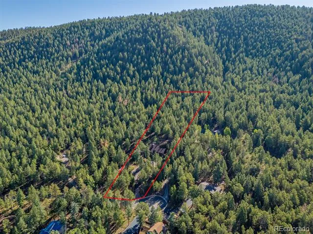 1170 Pine Ridge Road Woodland Park, CO 80863