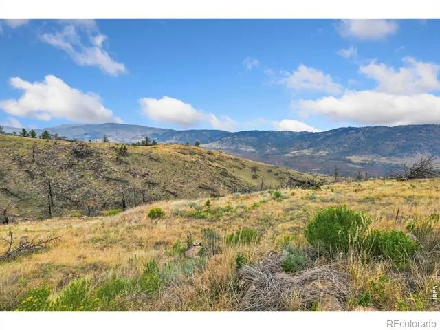 8266 Gray Squirrel Court Loveland, CO 80538