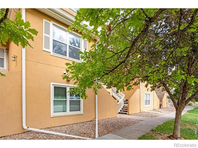 308 Lucca Drive Evans, CO 80620