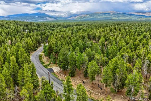 836 Baby Doe Drive Leadville, CO 80461