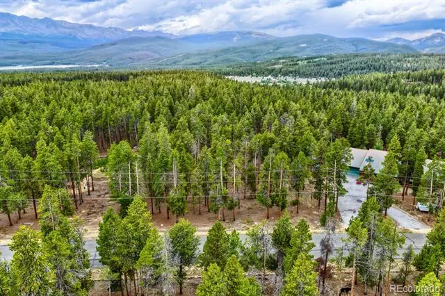 848 Baby Doe Drive Leadville, CO 80461