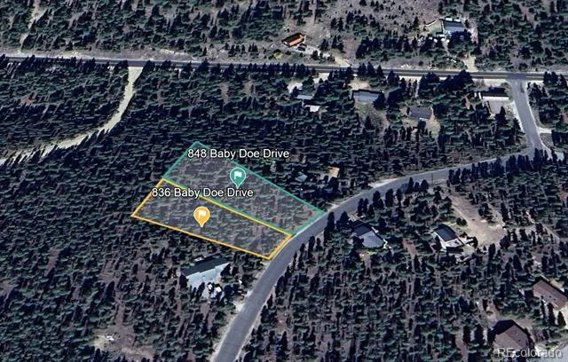 848 Baby Doe Drive Leadville, CO 80461