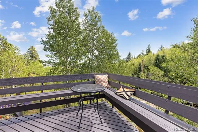 241 County Road 126 Nederland, CO 80466