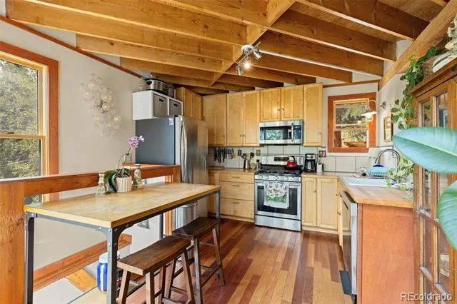 241 County Road 126 Nederland, CO 80466