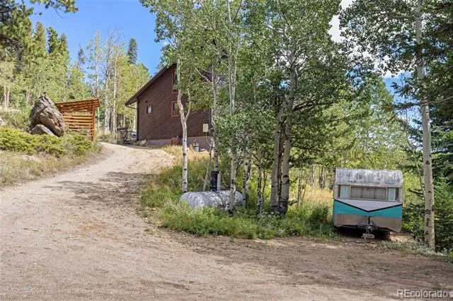 241 County Road 126 Nederland, CO 80466