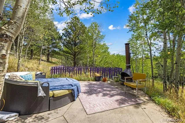 241 County Road 126 Nederland, CO 80466
