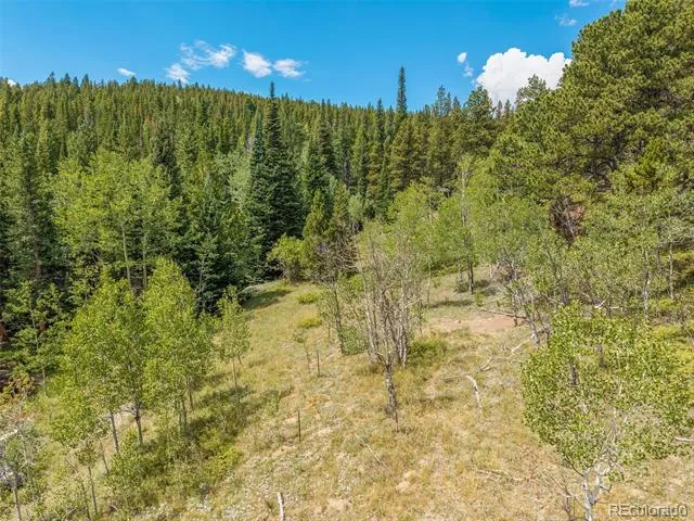 241 County Road 126 Nederland, CO 80466